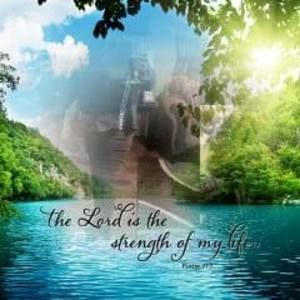 Meet your Posher, Helensteen